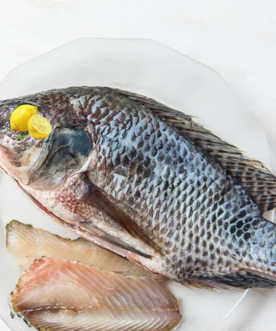 Tilapia Fish Steak FROZEN 1kg