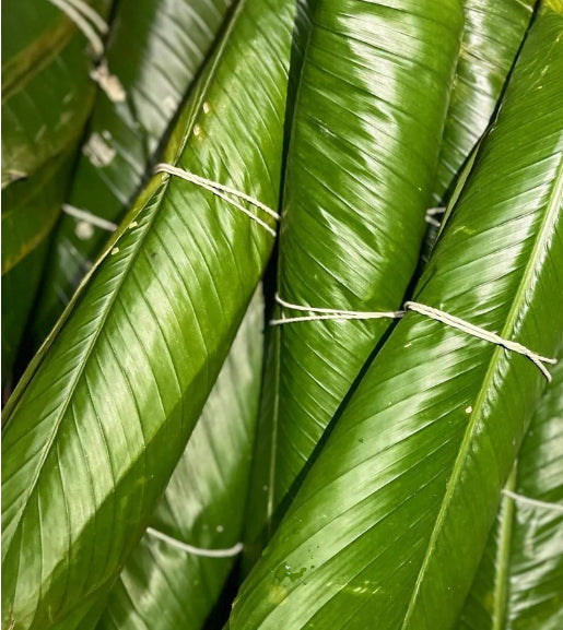 Moimoi Leaf-Ewe moinmoin