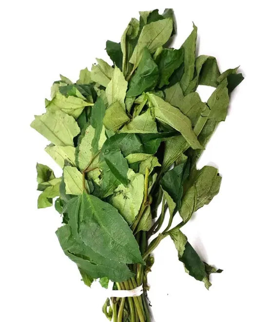 Fresh Ugu – Bunch