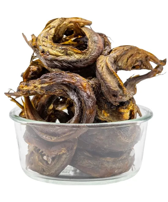 Eja Panla Kika (Pack of 5)